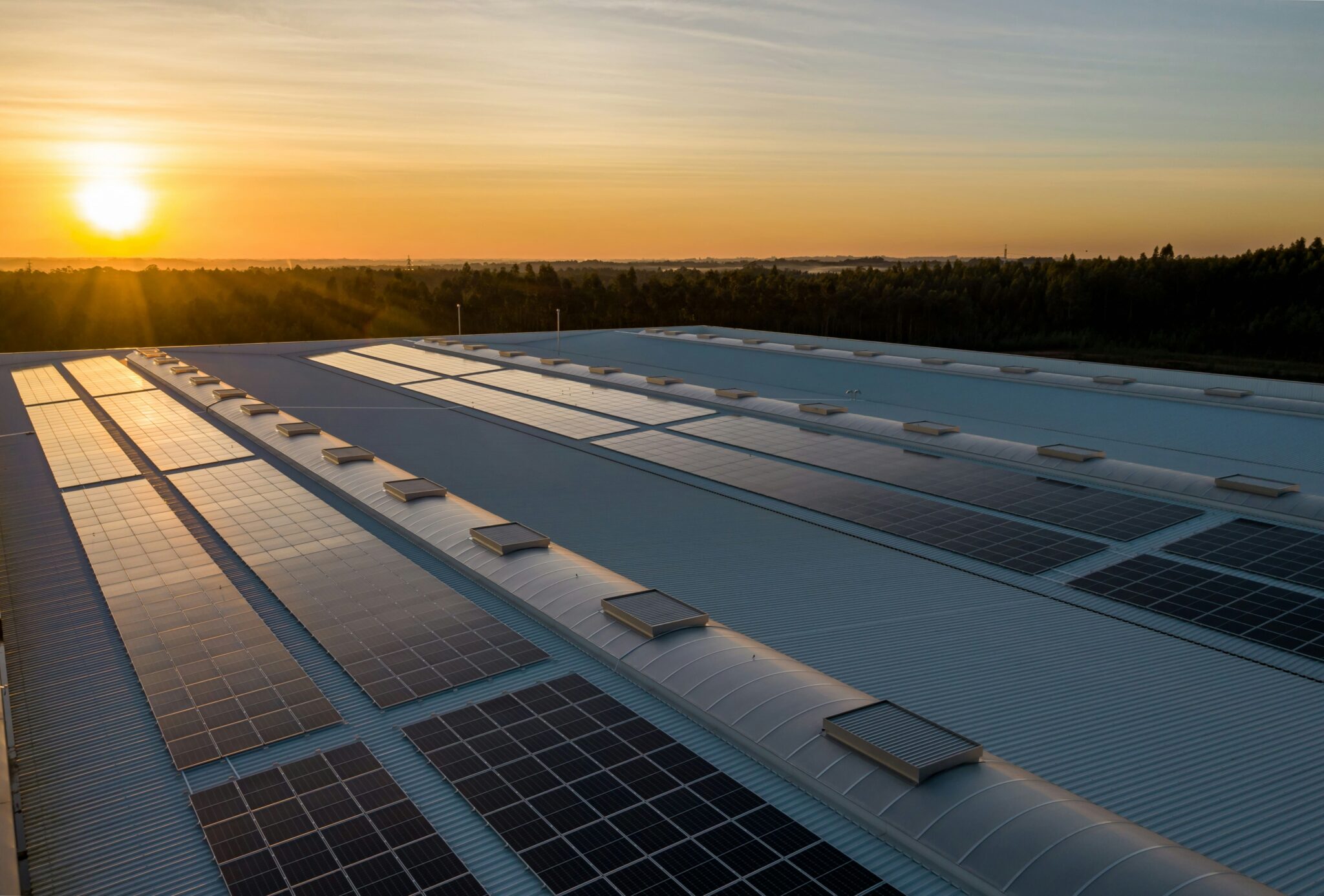 Solar panels installed on a commercial or industrial rooftop under clear skies.